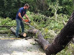 Best Lawn Maintenance Plans  in Lockhart, FL